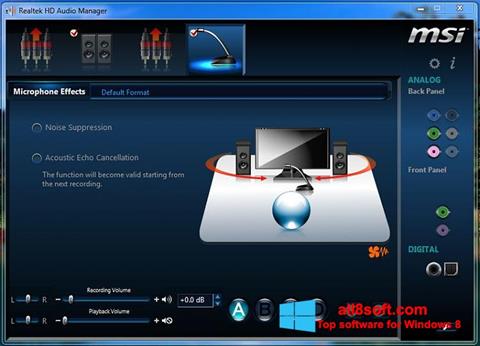 Zrzut ekranu Realtek Audio Driver na Windows 8