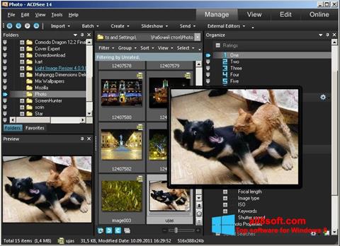 Zrzut ekranu ACDSee Photo Manager na Windows 8