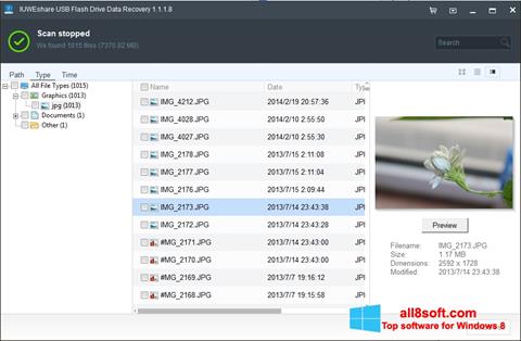 Zrzut ekranu USB Flash Drive Recovery na Windows 8