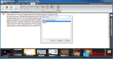 Zrzut ekranu Snagit na Windows 8