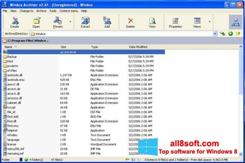 Zrzut ekranu WinAce na Windows 8