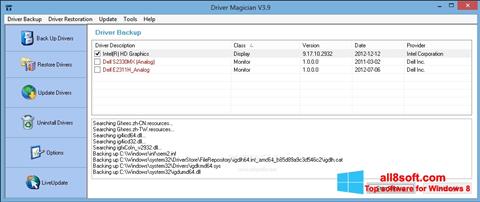 Zrzut ekranu Driver Magician na Windows 8