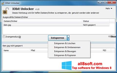 Zrzut ekranu IObit Unlocker na Windows 8