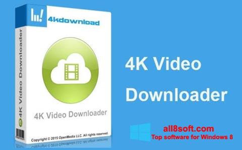 Zrzut ekranu 4K Video Downloader na Windows 8