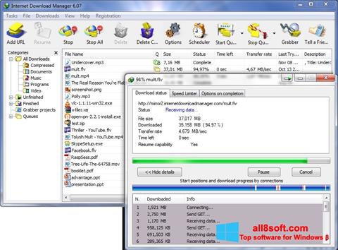 Zrzut ekranu Internet Download Manager na Windows 8