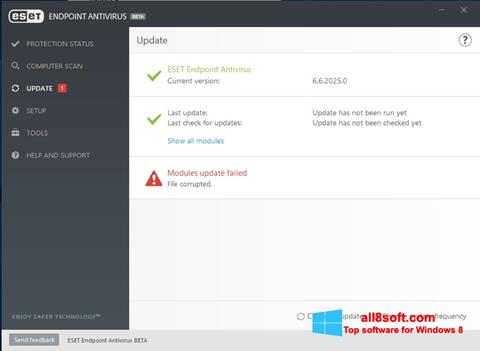 Zrzut ekranu ESET Endpoint Antivirus na Windows 8