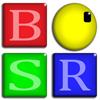 BSR Screen Recorder na Windows 8