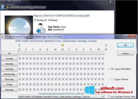 Zrzut ekranu Active Password Changer na Windows 8
