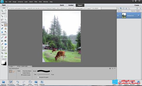 Zrzut ekranu Photoshop Elements na Windows 8