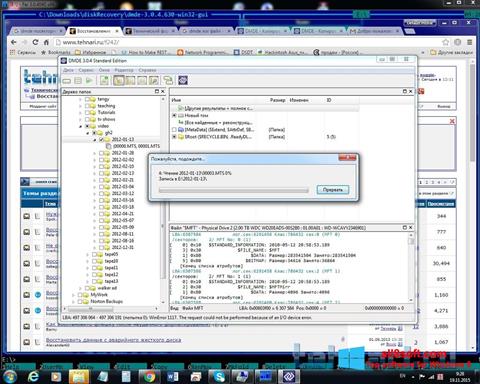 Zrzut ekranu DMDE na Windows 8