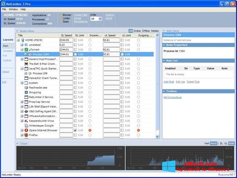 Zrzut ekranu NetLimiter na Windows 8