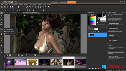 Zrzut ekranu PaintShop Pro na Windows 8