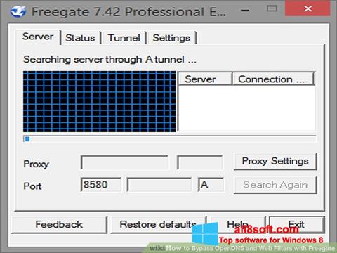 Zrzut ekranu Freegate na Windows 8
