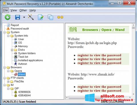 Zrzut ekranu Multi Password Recovery na Windows 8