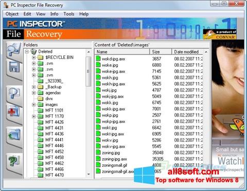 Zrzut ekranu PC Inspector File Recovery na Windows 8