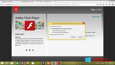 Zrzut ekranu Adobe Flash Player na Windows 8