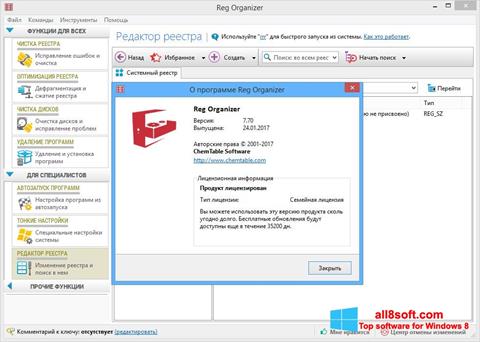 Zrzut ekranu Reg Organizer na Windows 8
