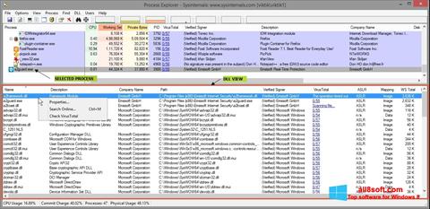 Zrzut ekranu Process Explorer na Windows 8