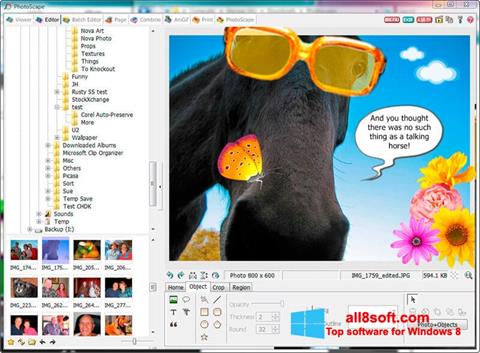 Zrzut ekranu PhotoScape na Windows 8
