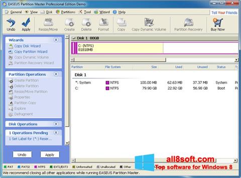Zrzut ekranu EASEUS Partition Master na Windows 8